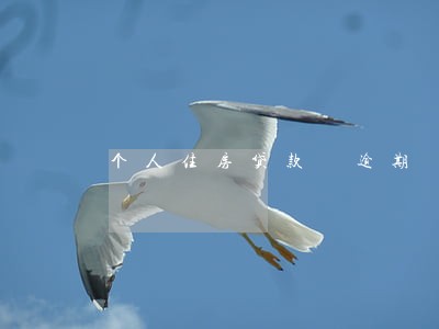 个人住房贷款 逾期 个人住房贷款 逾期